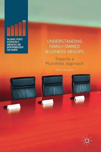 Understanding Family-Owned Business Groups cover