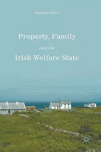 Property, Family and the Irish Welfare State cover