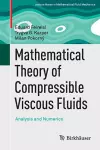 Mathematical Theory of Compressible Viscous Fluids cover