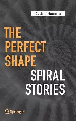 The Perfect Shape cover