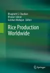 Rice Production Worldwide cover