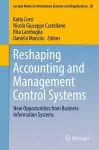 Reshaping Accounting and Management Control Systems cover