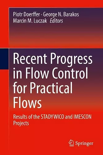 Recent Progress in Flow Control for Practical Flows cover