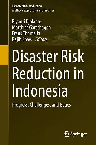 Disaster Risk Reduction in Indonesia cover