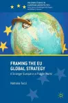 Framing the EU Global Strategy cover