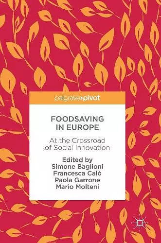 Foodsaving in Europe cover