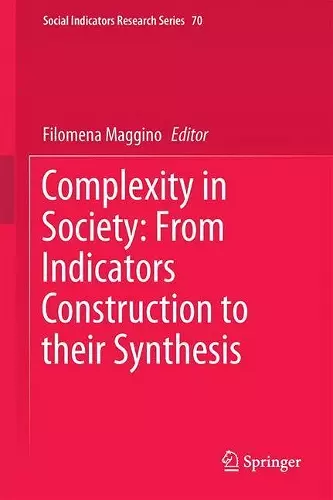 Complexity in Society: From Indicators Construction to their Synthesis cover