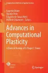 Advances in Computational Plasticity cover