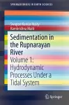 Sedimentation in the Rupnarayan River cover