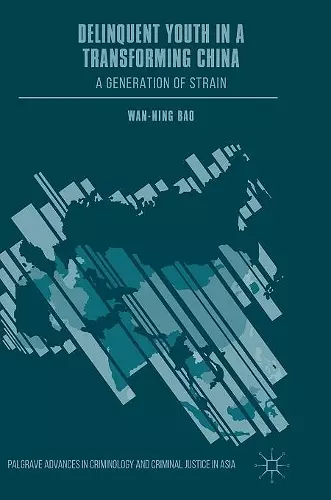 Delinquent Youth in a Transforming China cover