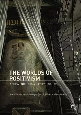 The Worlds of Positivism cover