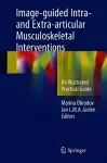 Image-guided Intra- and Extra-articular Musculoskeletal Interventions cover