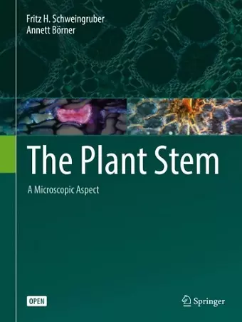 The Plant Stem cover