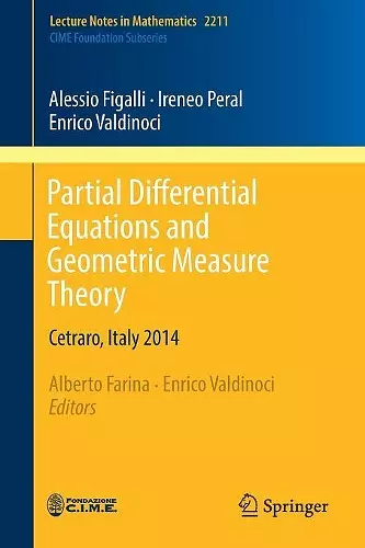 Partial Differential Equations and Geometric Measure Theory cover