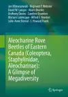 Aleocharine Rove Beetles of Eastern Canada (Coleoptera, Staphylinidae, Aleocharinae): A Glimpse of Megadiversity cover