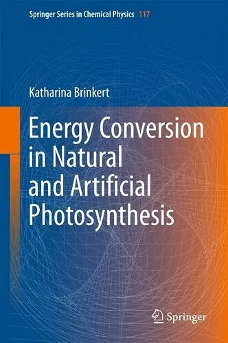 Energy Conversion in Natural and Artificial Photosynthesis cover