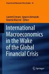 International Macroeconomics in the Wake of the Global Financial Crisis cover