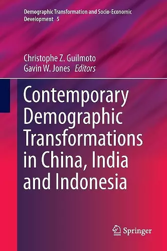 Contemporary Demographic Transformations in China, India and Indonesia cover