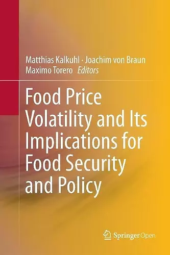 Food Price Volatility and Its Implications for Food Security and Policy cover