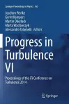 Progress in Turbulence VI cover