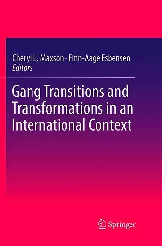 Gang Transitions and Transformations in an International Context cover