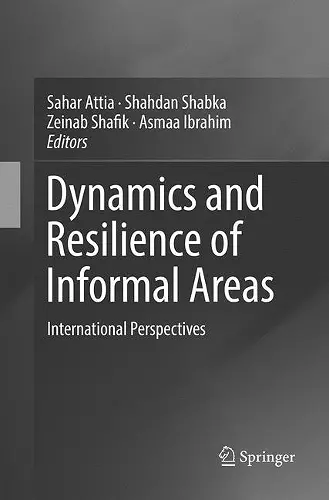Dynamics and Resilience of Informal Areas cover