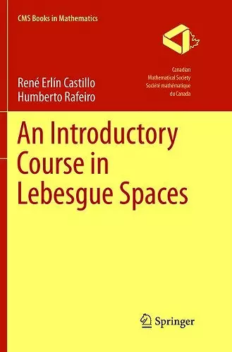 An Introductory Course in Lebesgue Spaces cover