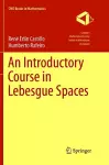 An Introductory Course in Lebesgue Spaces cover