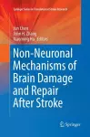 Non-Neuronal Mechanisms of Brain Damage and Repair After Stroke cover