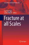 Fracture at all Scales cover