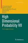 High Dimensional Probability VII cover