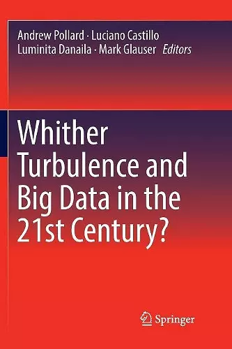 Whither Turbulence and Big Data in the 21st Century? cover