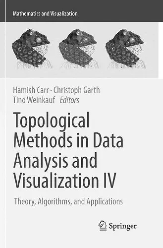 Topological Methods in Data Analysis and Visualization IV cover