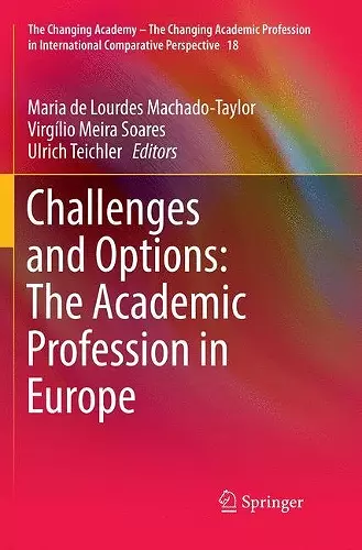 Challenges and Options: The Academic Profession in Europe cover