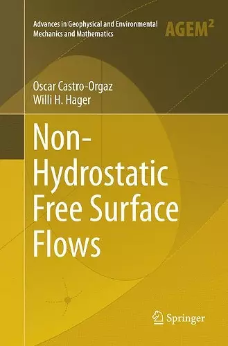 Non-Hydrostatic Free Surface Flows cover