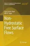 Non-Hydrostatic Free Surface Flows cover