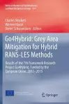 Go4Hybrid: Grey Area Mitigation for Hybrid RANS-LES Methods cover