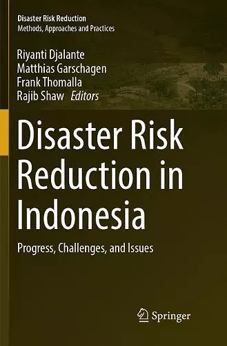 Disaster Risk Reduction in Indonesia cover