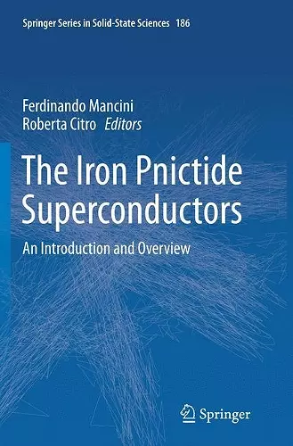 The Iron Pnictide Superconductors cover