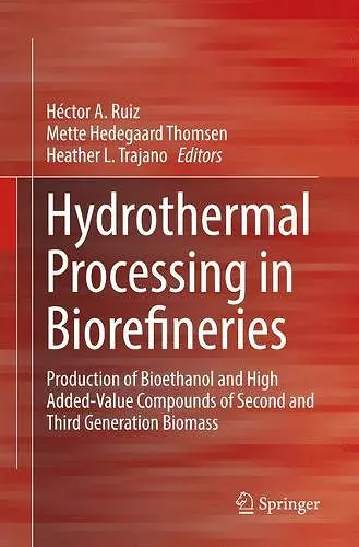 Hydrothermal Processing in Biorefineries cover