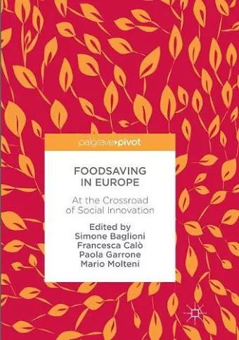 Foodsaving in Europe cover