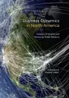 Business Dynamics in North America cover