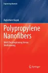 Polypropylene Nanofibers cover