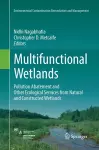 Multifunctional Wetlands cover