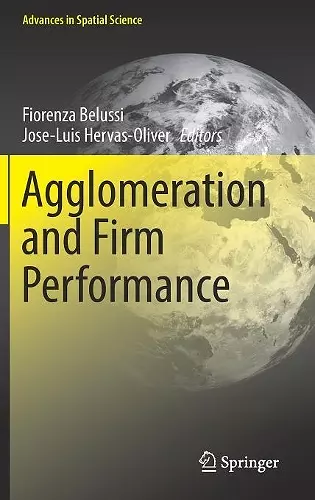 Agglomeration and Firm Performance cover