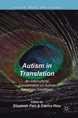 Autism in Translation cover