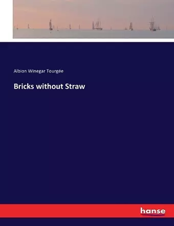 Bricks without Straw cover