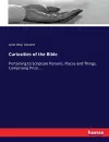 Curiosities of the Bible cover