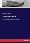 Essays on the Work cover