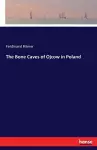 The Bone Caves of Ojcow in Poland cover